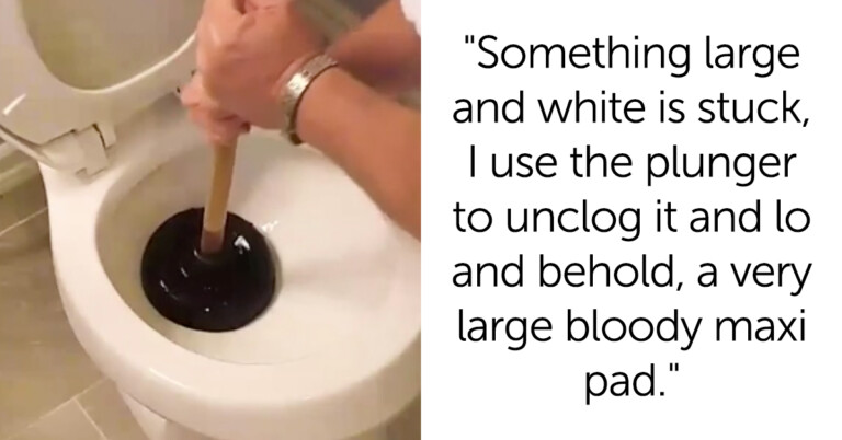 Wife Asks If She’s A Jerk For Calling Out Her Husband’s Coworker’s Wife For Flushing A Pad