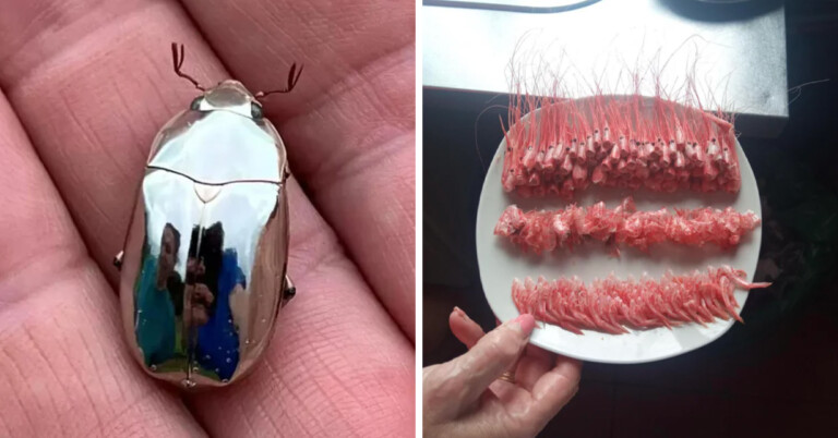 20 Oddly Satisfying Images People Shared In An Online Group