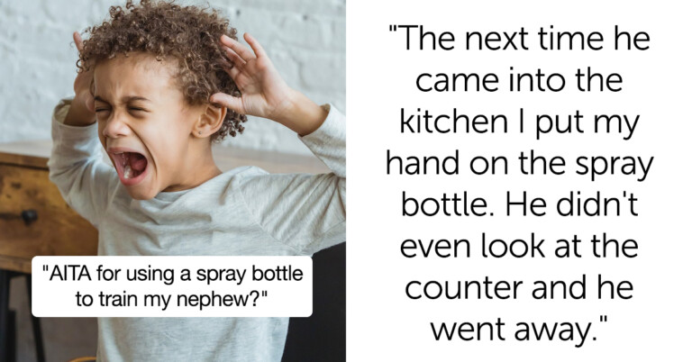 “He’s A Monster”—Aunt “Trains” Annoying Nephew With Spray Bottle, Asks ‘AITA’