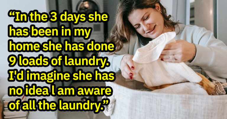 Dog Owner Conflicted Over Whether It’s Appropriate For Dog Sitter To Do Laundry While They’re Away