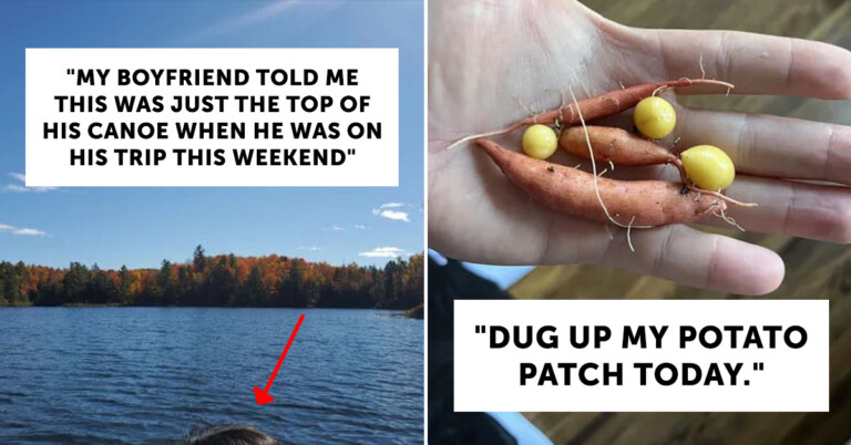25 People Who Are Probably Having A Worse Month Than You