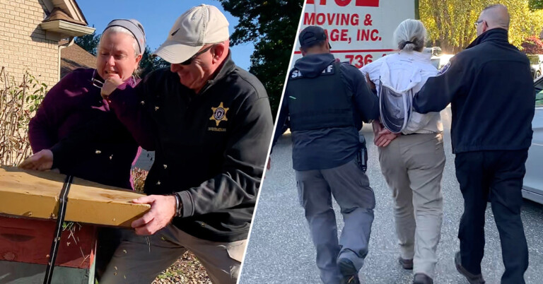 A Woman Allegedly Unleashed A Swarm Of Bees On Sheriff Deputies Serving An Eviction Notice