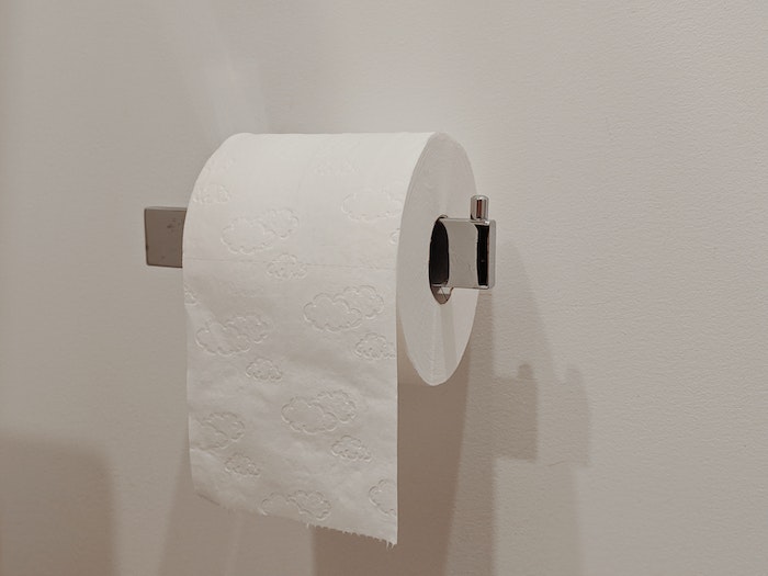 White Toilet Paper Roll on Toilet Paper Holder