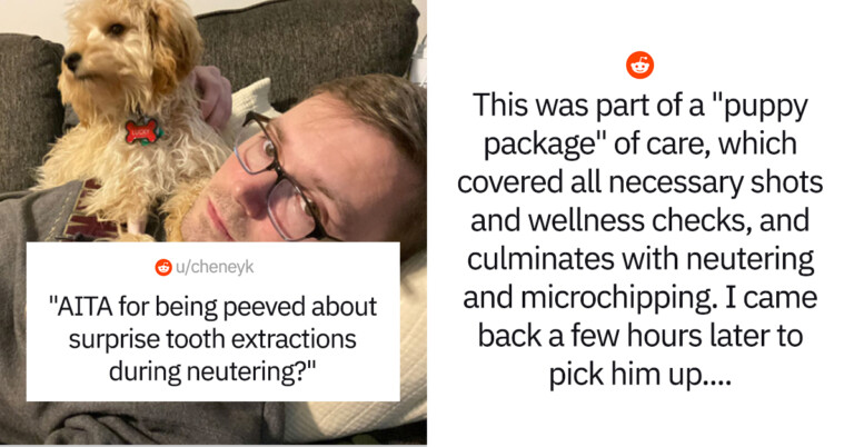 Enraged Dog Owner Wonders If He Overreacted About His Unplanned Vet Procedure