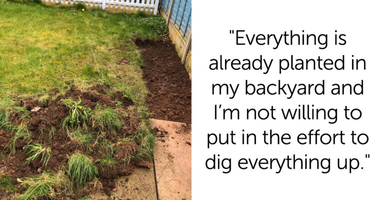 Bipolar Woman Gives Away Her Plants During Manic Episode But Neighbor Won’t Return Them And Asks ‘AITA’