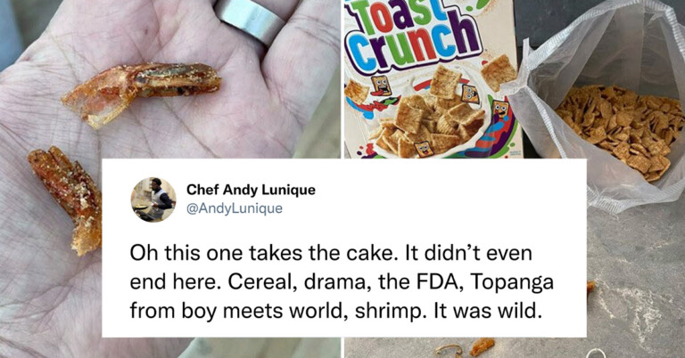 People Are Sharing The “Dumbest Moments” On Twitter In This Viral Thread