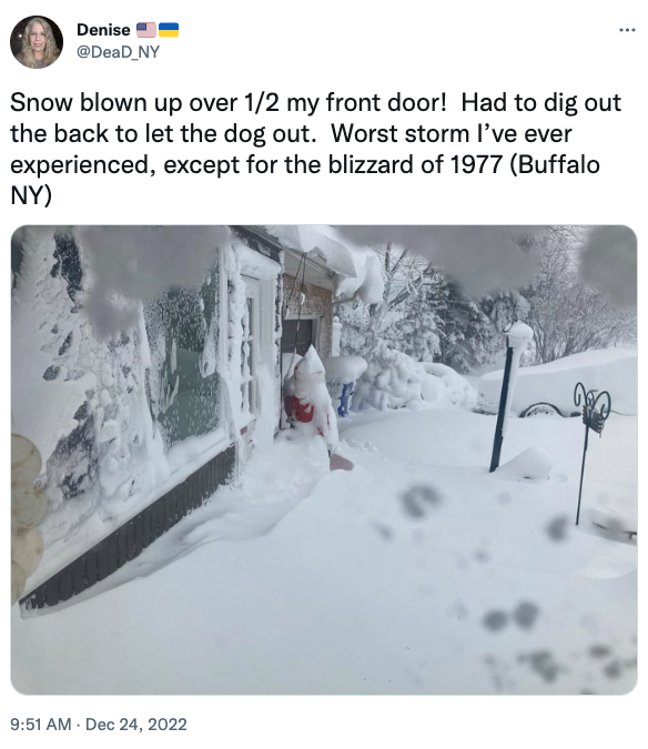 Buffalo Christmas Blizzard