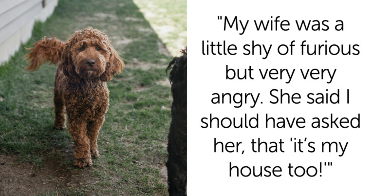 Man Asks If He’s A Jerk For Adopting His Dead Dad’s Dog Without Telling His Wife First