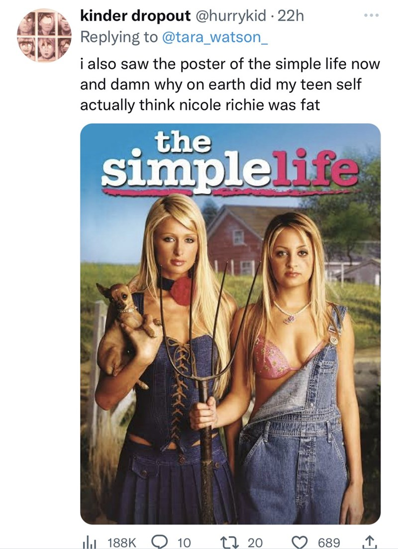 the simple life beauty standards