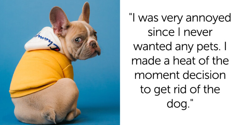 Mom Asks If She’s A Jerk For Getting Rid Of Her Daughter’s Dog