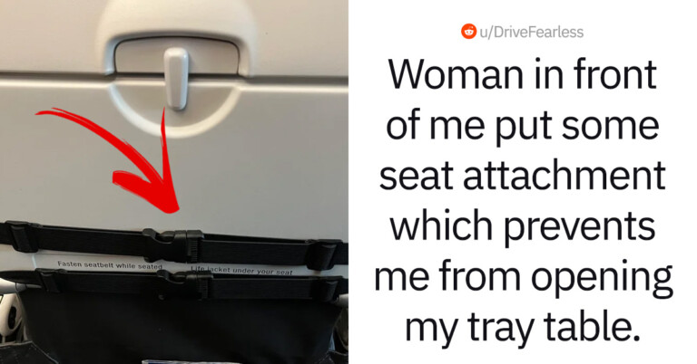 Airplane Passenger Annoyed Because A Woman Locked Their Tray Table After Putting A Seat Attachment Over It