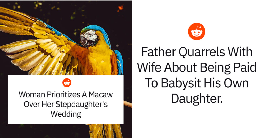 15 Controversial Stories Shared By Redditors That Have Divided The