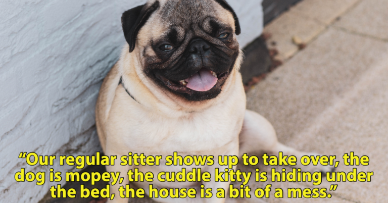 Lazy Pet Sitter Caught On Security Camera Has Dog Owners Asking For Advice