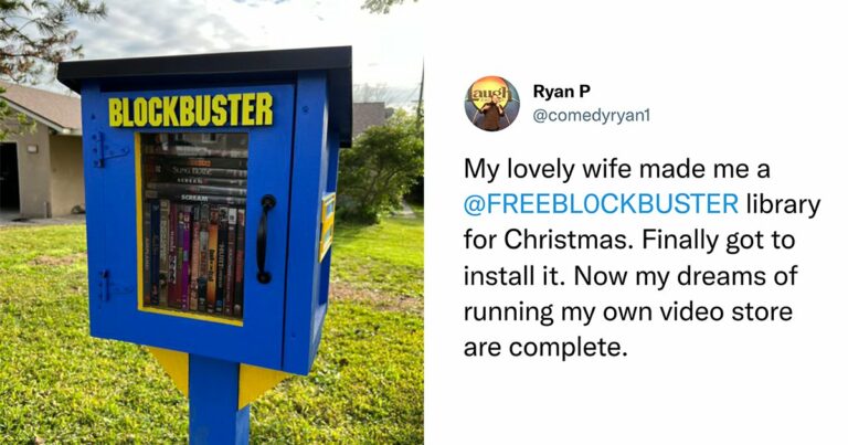 Step Aside Free Library Boxes, The Free Blockbuster Box Is What Every Neighborhood Needs