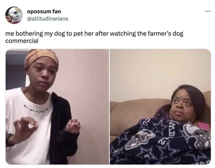 super bowl 2023 meme - farmer's dog commercial