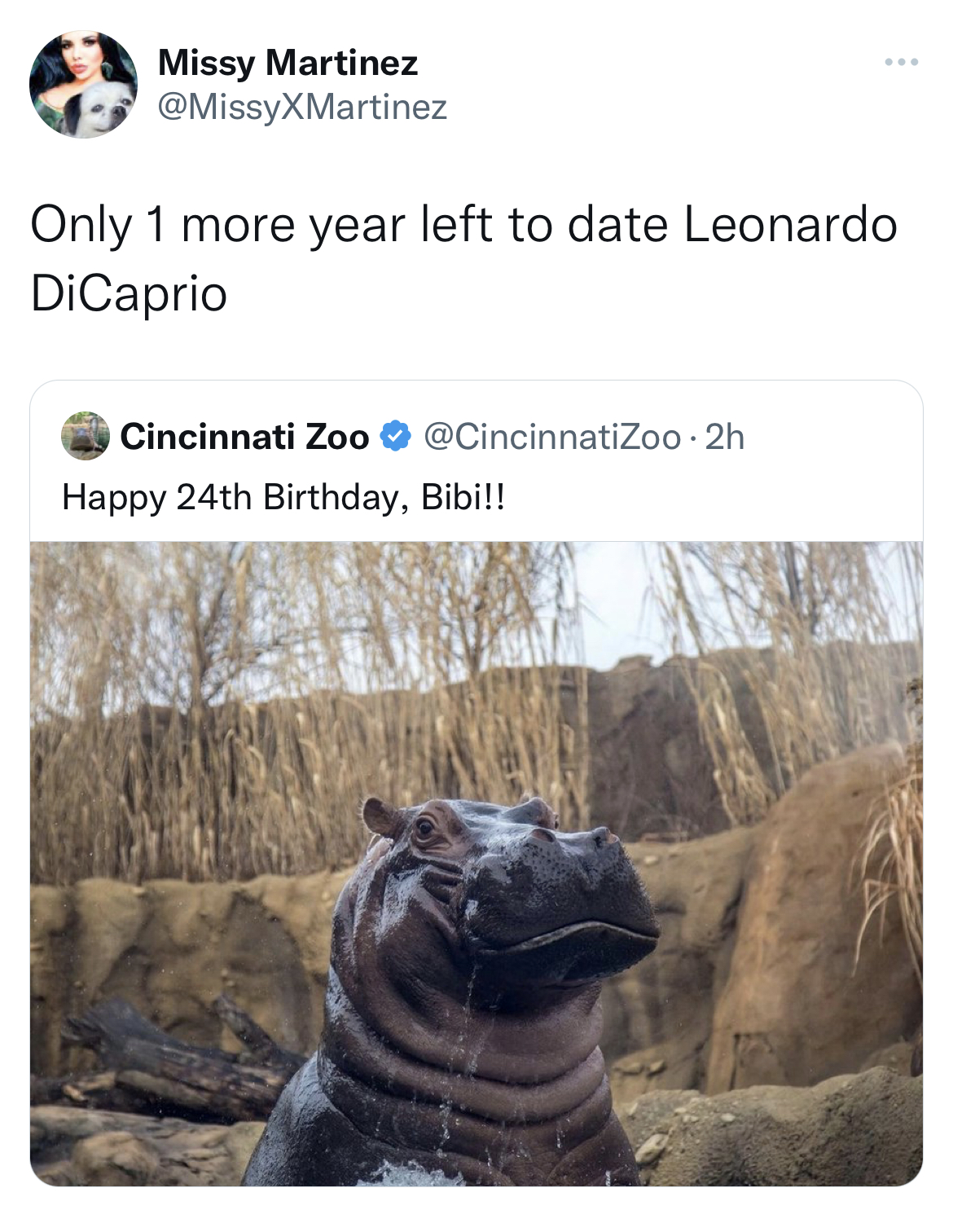 leonardo dicaprio dating a teenager meme - bibi hippo