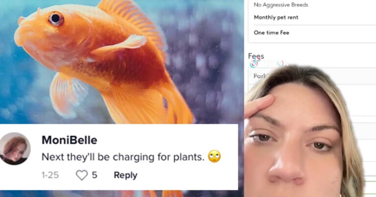 Renter Says Landlord Is Demanding ‘Pet Fee’ For Tenant’s Goldfish