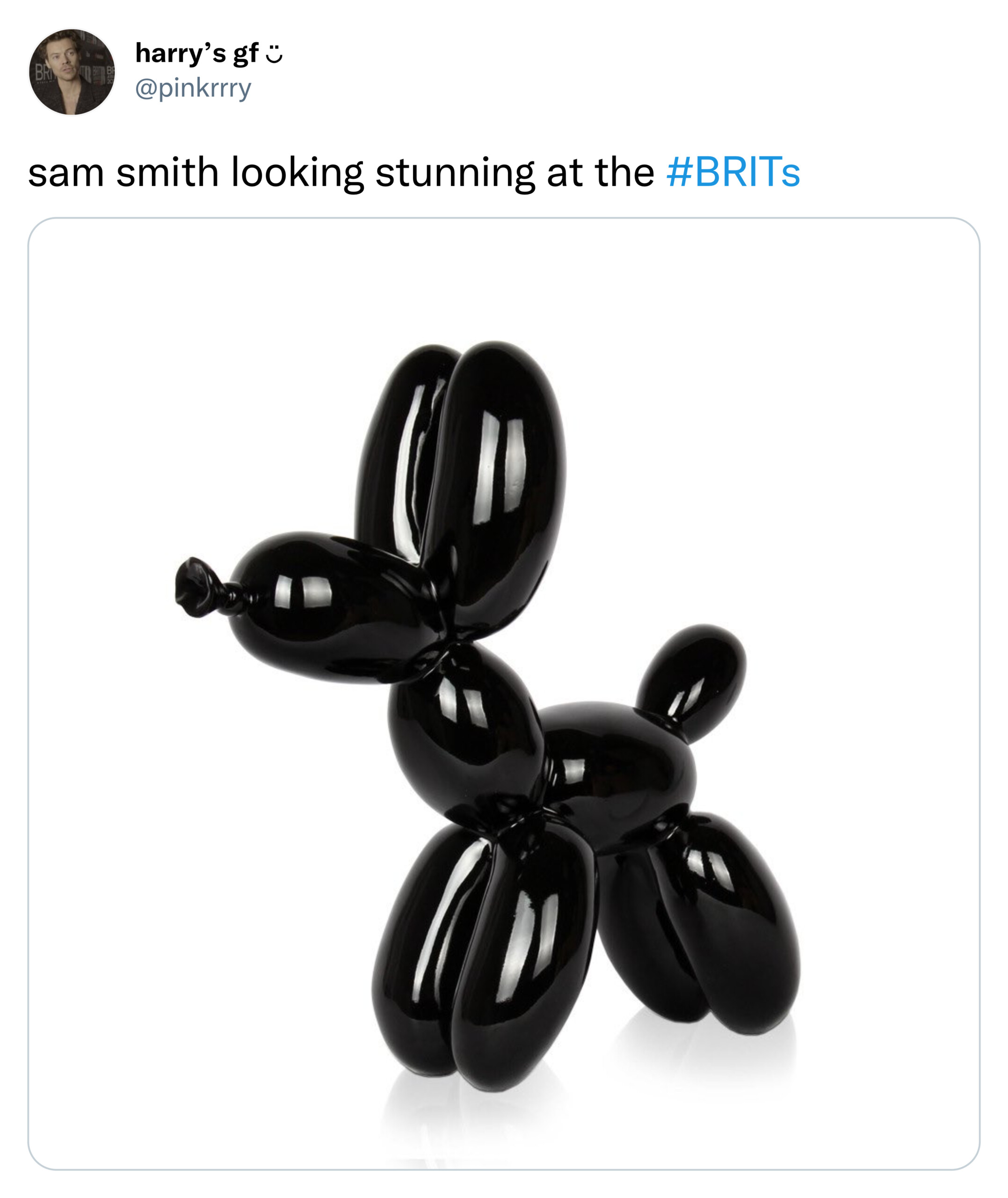 sam smith meme- balloon animal