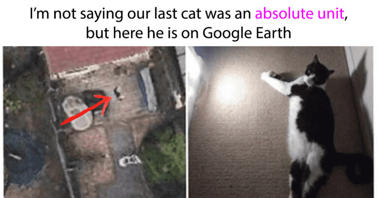 wholesome absolute units