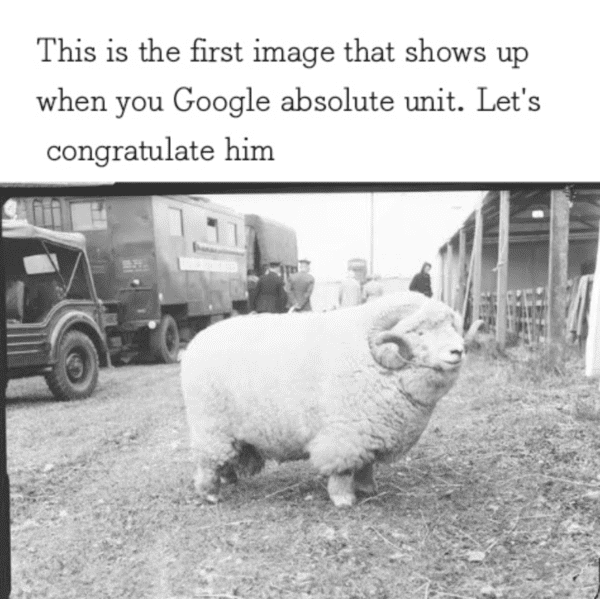 wholesome absolute units - absolute unit ram