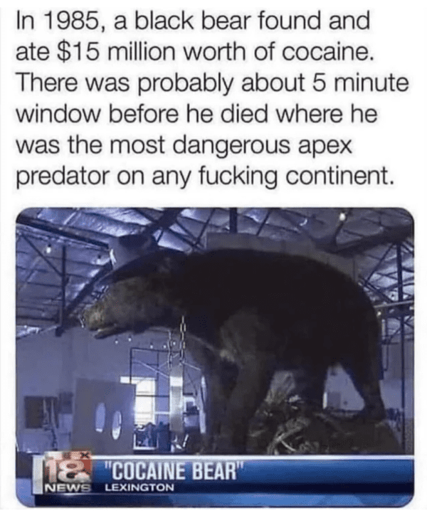 wholesome absolute units - cocaine bear