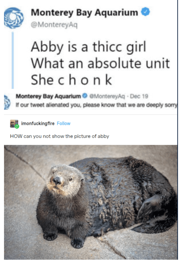wholesome absolute units - abby is a thicc girl