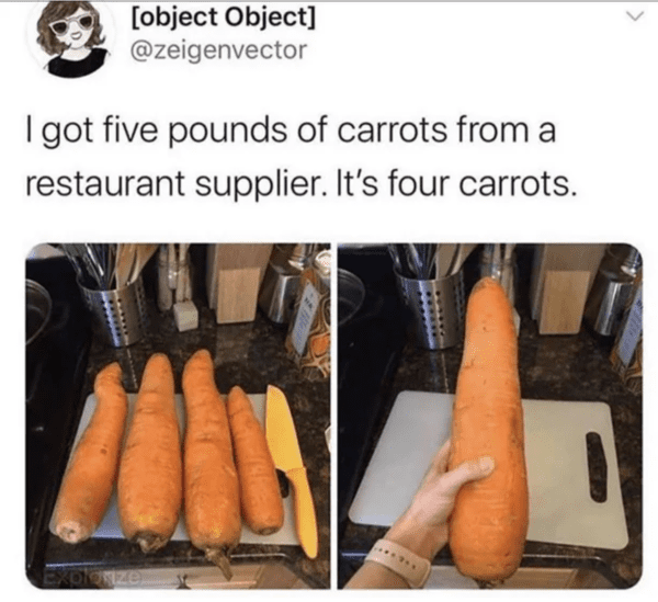 wholesome absolute units - massive carrot