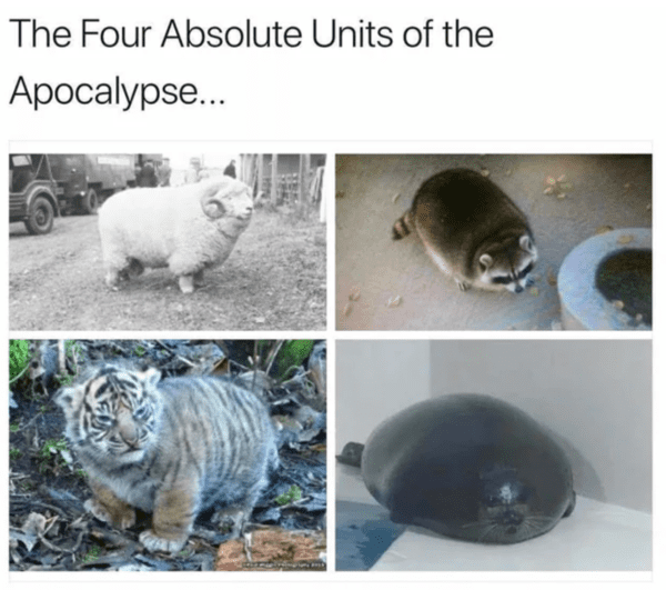 wholesome absolute units - four absolute units of the apocalypse