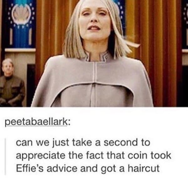 hunger games memes - haircut