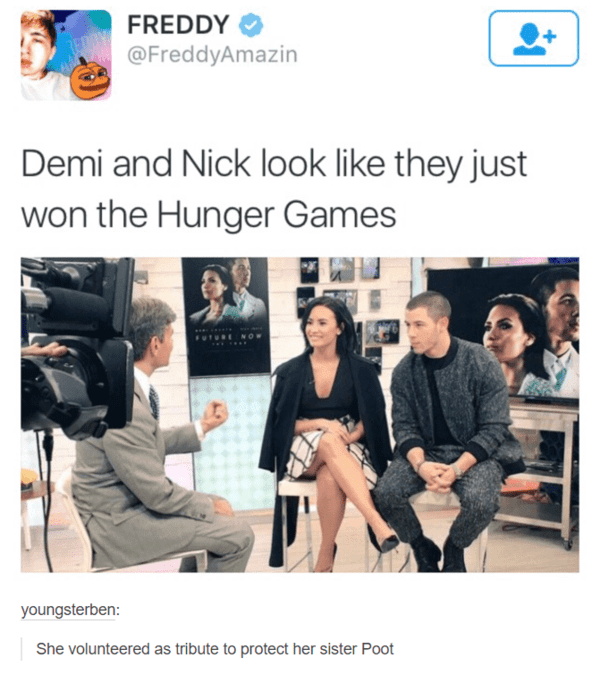 hunger games memes - nick and demi