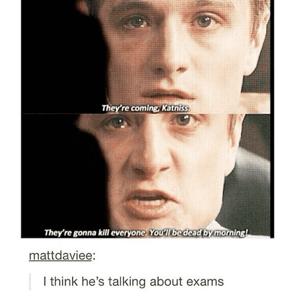 hunger games memes - exams