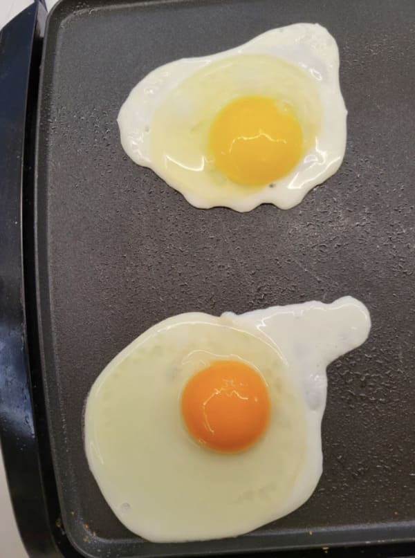 interesting pics - eggs