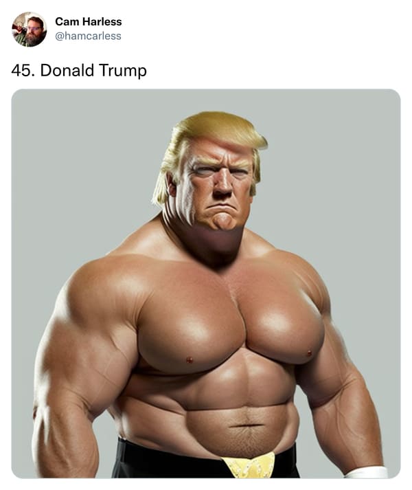 us presidents as pro wrestlers - Donald Trump