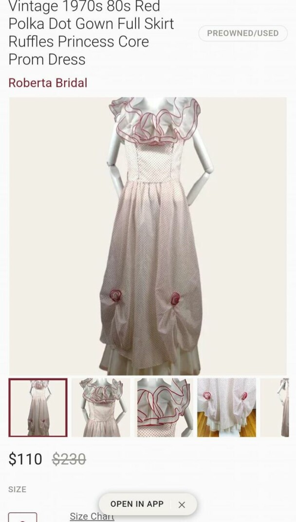 'That's It, I'm Wedding Dress Shaming' — 30 People Who Couldn't Help