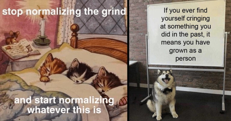 40 Of The Most Inspiring Wholesome Memes And Posts From This Week (August 11, 2023)