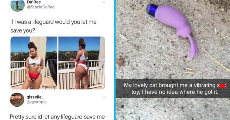 100+ Funny Pictures Everyone Should Laugh At Today (February 10, 2025)