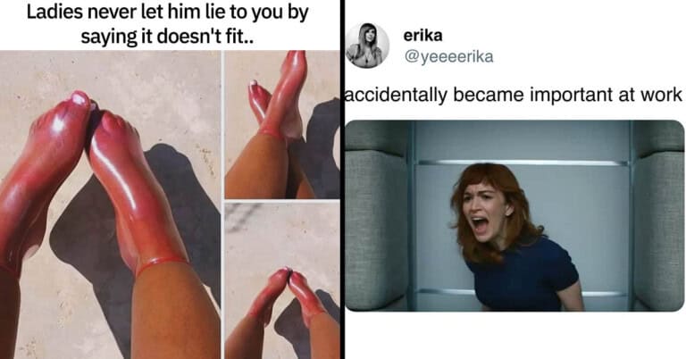 50 Funniest And Freshest Memes For Your Evening Scroll