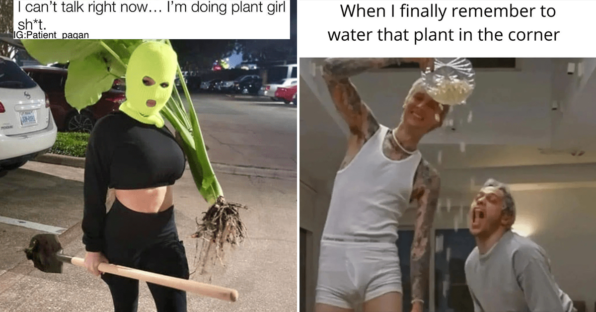 40 Funny Memes For People Who Love Their Plants — Even If They Keep Killing Them