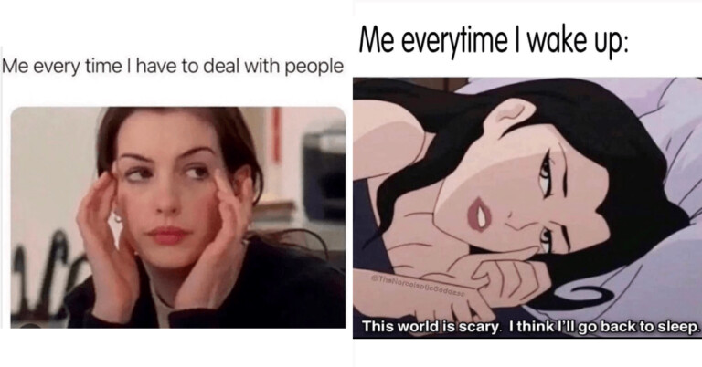 50+ Funny Introvert Memes To Read In Bed Alone (April 9, 2024)