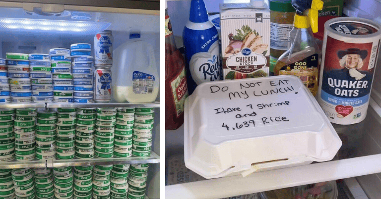 21 Funny “Single Guy Fridges” That Raise More Questions Than They Answer