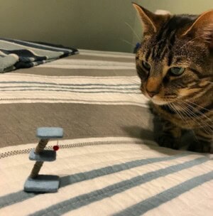 25 Funny Fails From Around the Internet This Week That Deserve a Slow Clap